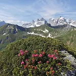Cascada Montafon Appartement Sankt Gallenkirch