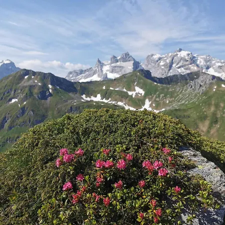 Cascada Montafon Daire Sankt Gallenkirch